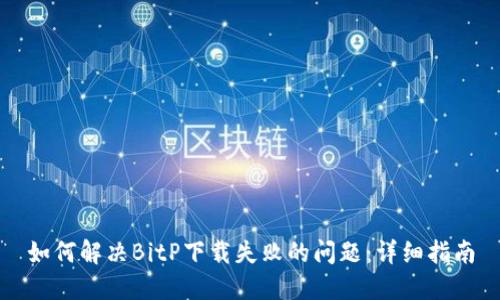 如何解决BitP下载失败的问题：详细指南