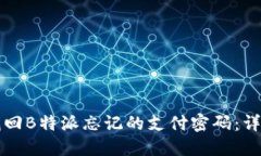 如何找回B特派忘记的支付密码：详细指南