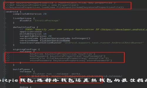 Bitpie钱包：选择冷钱包还是热钱包的最佳指南