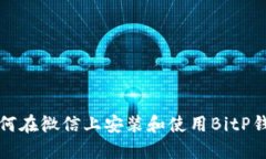 如何在微信上安装和使用BitP钱包