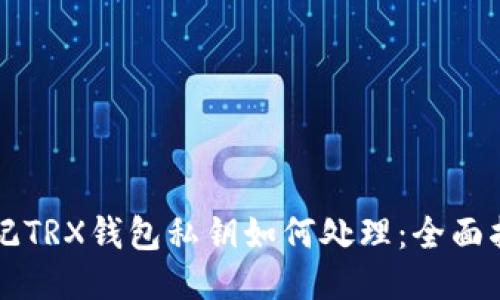 忘记TRX钱包私钥如何处理：全面指南