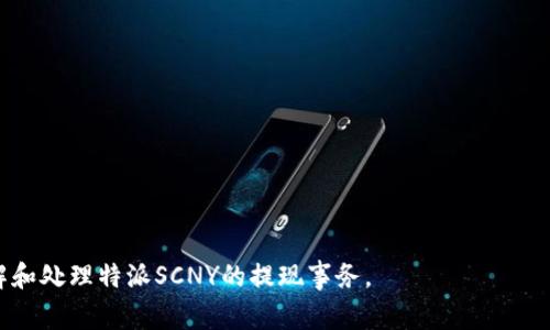 特派SNCY提现时间及注意事项详解

特派SCNY, 提现时间, 交易流程, 提现注意事项/guanjianci

在当今数字经济时代，虚拟货币和在线支付变得越来越普遍，用户对提现的需求也随之增加。特派SCNY作为一种新兴的虚拟货币，其提现流程及时间成为了众多用户关心的问题。本文将详细探讨特派SCNY的提现时间、流程，以及用户在提现过程中需要注意的若干事项。

特派SCNY简介
特派SCNY是一种基于区块链技术的虚拟货币，致力于提供安全便捷的在线交易服务。其主要特点包括去中心化、交易透明和匿名性等。随着虚拟货币的普及，特派SCNY也逐渐成为一些在线交易平台的主要支付工具。

特派SCNY的提现流程
在进行提现操作之前，用户需要确保已完成特派SCNY的账户注册，并且账户内有足够的余额。提现的具体流程如下：
ol
    listrong登录账户：/strong用户需要首先登录其特派SCNY账户。/li
    listrong进入提现页面：/strong在账户首页，点击“提现”或“提币”选项，进入提现页面。/li
    listrong填写提现信息：/strong输入提现金额、提现地址等必要信息。一定要核实输入的信息是否正确，以避免错误发生。/li
    listrong确认提现：/strong查看提现的相关信息后，确认提现请求。系统可能会要求输入二次验证以增加安全性。/li
    listrong等待处理：/strong提现申请提交后，系统会进行处理，用户可在提现记录中查看处理状态。/li
/ol

特派SCNY的提现时间
特派SCNY的提现时间并不是固定的，通常受到多个因素的影响：
ul
    listrong处理周期：/strong一般来说，特派SCNY的提现请求在提交后会进行一定时间的处理，通常为1小时到24小时不等。/li
    listrong网络拥堵情况：/strong在交易市场比较活跃的时期，用户可能会经历提现延迟，这与区块链的处理速度有关。/li
    listrong提现金额：/strong有些平台会对提现的金额设置不同的处理优先级，小额提现可能会比大额提现处理得更快。/li
/ul
用户在提现前最好查看一下平台的公告，明确当前的提现时间预估，以避免不必要的困扰。

提现过程中需要注意的事项
在特派SCNY提现时，用户需要特别注意以下几点：
ol
    listrong信息准确性：/strong确保输入的提现地址和金额是正确的，错误的地址可能导致资金无法撤回。/li
    listrong手续费：/strong提现处理时通常会收取一定的手续费，用户需在提现前先了解清楚相关费用。/li
    listrong平台安全性：/strong在选择提现平台时，务必确认其安全性和信誉度，以避免资金风险。/li
    listrong资金流动：/strong提现后，留意账户中的资金流动，若出现异常情况及时与客服联系。/li
/ol

相关问题

1. 特派SCNY的微信提现手续费是多少？
提现手续费是影响用户选择提现时机的重要因素之一。一些平台会对特派SCNY的提现收取固定比例的手续费，而有些平台则采取阶梯收费的方式。通常情况下，特派SCNY的提现手续费在0.1%到5%之间，具体的费用标准会因平台而异。用户在进行提现之前，应该仔细阅读相关平台的规定，以免在提现时产生不必要的费用。此外，用户还可以通过对比不同平台的手续费率，选择更为合适的提现平台。总之，了解提现手续费有助于用户降低成本，合理规划资金流动。

2. 如何提高特派SCNY提现速度？
提高特派SCNY提现速度是每位用户都希望实现的目标。以下是一些有效的建议：
ul
    listrong选择高效平台：/strong一些平台的提现处理速度明显快于其他平台，选择信誉好、反响快的平台可有效提高提现速度。/li
    listrong避免高峰期：/strong尽量选择在交易流量较少的时段进行提现，这样可以避免网络拥堵造成的延迟。/li
    listrong注意提现金额：/strong小额提现往往会更快，用户可选择分次提现，以便于加快资金的流动。/li
/ul
通过以上方法，用户能够在较短时间内成功实现特派SCNY的提现，保障自身的资金使用效率。

3. 特派SCNY提现失败的原因是什么？
在进行特派SCNY提现时，有时会遭遇提现失败的情况，常见的几个原因包括：
ul
    listrong地址错误：/strong用户在输入提现地址时，常常会因手误导致地址错误。此时系统会判定为无效地址，无法成功提现。/li
    listrong余额不足：/strong如果用户账户内的SCNY余额不足以覆盖提现金额及手续费，则提现申请会被拒绝。/li
    listrong系统维护：/strong在系统进行定期维护或升级时，亦可能导致提现功能暂时失效，用户需耐心等待。/li
/ul
用户可以通过查看错误信息，或咨询平台客服来解决提现失败的问题，从而更好地进行下一步操作。

4. 特派SCNY提现的安全性如何保障？
在虚拟货币领域，安全性永远是用户最关心的问题之一。特派SCNY提现的安全性保障可以从以下几个方面进行：
ul
    listrong两步验证：/strong大多数平台为保障账户安全，会实施两步验证，用户在提现时需要额外确认，减少被盗风险。/li
    listrong提现地址白名单：/strong一些平台允许用户设置提现地址白名单，只有在白名单内的地址才能成功提现，降降低信安全隐患。/li
    listrong定期审核：/strong平台会定期对用户账户进行审核，发现异常及时冻结账户，保障用户资金安全。/li
/ul
通过上述安全性措施，用户可以更为安心地进行特派SCNY的提现操作，减少资金风险。

总的来说，特派SCNY的提现过程涉及诸多细节，用户需提前了解提现时间及相关政策，在操作过程中注意信息准确性及安全性，这将有助于顺利完成提现，提高使用体验。希望以上内容能够帮助用户更好地理解和处理特派SCNY的提现事务。