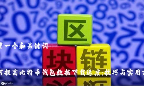 设置一个和关键词


如何提高比特币钱包数据下载速度：技巧与实用方法