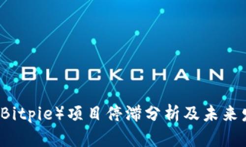 比特派（Bitpie）项目停滞分析及未来发展展望