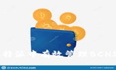 如何在B特派中有效管理BCHSV矿工费