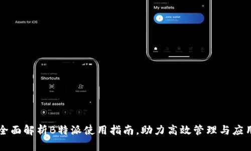 全面解析B特派使用指南，助力高效管理与应用