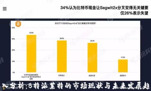 
深入分析：B特派莱特的市场现状与未来发展趋势