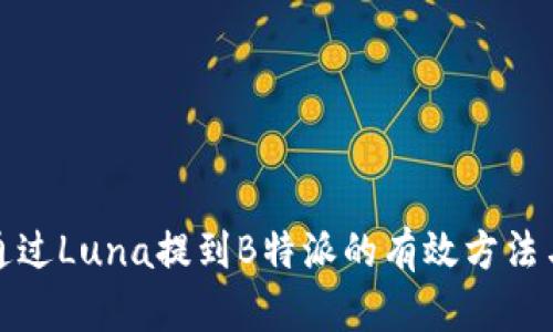 如何通过Luna提到B特派的有效方法与技巧
