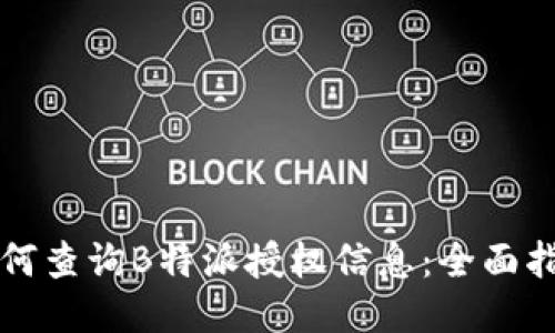 如何查询B特派授权信息：全面指南