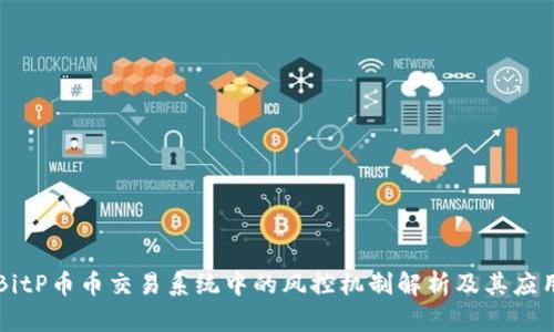 BitP币币交易系统中的风控机制解析及其应用