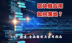 BitP 安卓：全面解析与实用指南