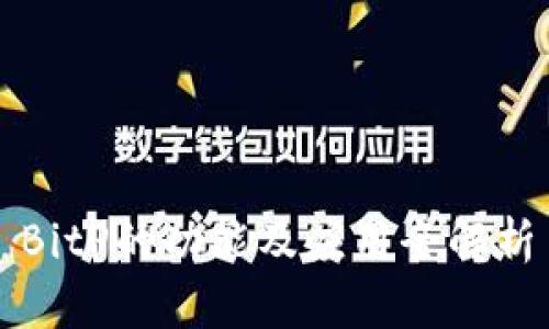 BitP的功能及应用全解析