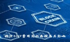 探讨BitP费用高的原因及其影响