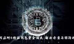 如何应对B特派钱包资金消失：解决方案与预防措