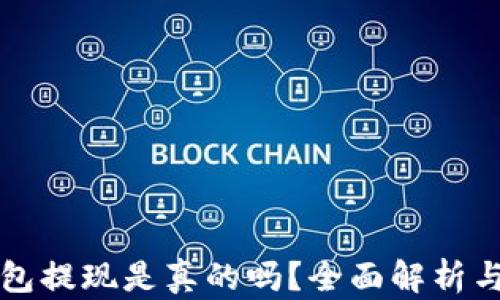 
比特派钱包提现是真的吗？全面解析与使用指南