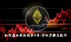如何在比特派购买U币：详细步骤与技巧