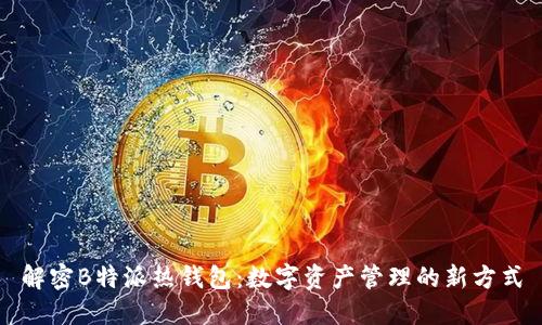 解密B特派热钱包：数字资产管理的新方式