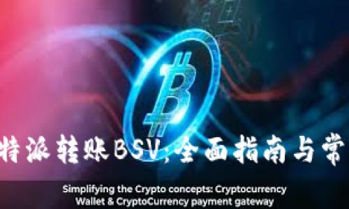 如何通过B特派转账BSV：全面指南与常见问题解析