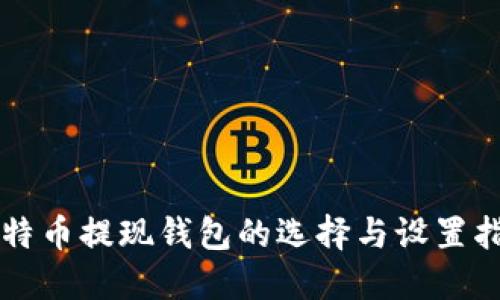 比特币提现钱包的选择与设置指南