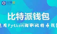 如何使用Python爬取比特币钱包信息