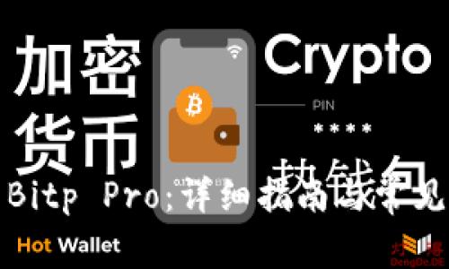 如何使用Bitp Pro：详细指南与常见问题解答