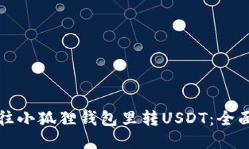 如何往小狐狸钱包里转USDT：全面指南