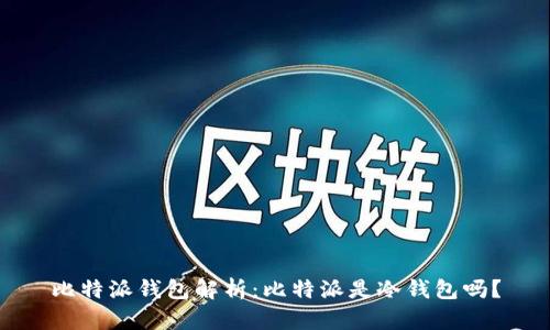 比特派钱包解析：比特派是冷钱包吗？