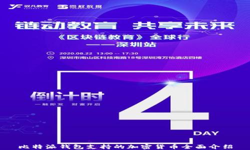 
比特派钱包支持的加密货币全面介绍