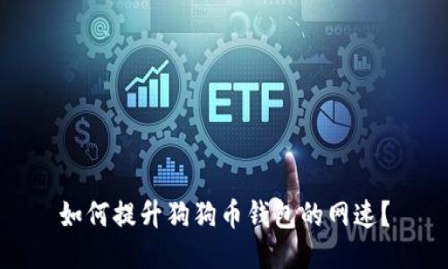 如何提升狗狗币钱包的网速？