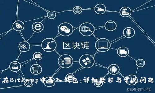 如何在BitKeep中导入钱包：详细教程与常见问题解答