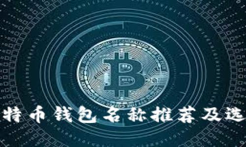最佳比特币钱包名称推荐及选购指南