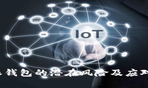 b特派钱包的潜在风险及应对策略