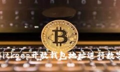 如何使用Bitkeep开放钱包地址进行数字资产管理