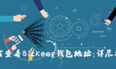如何查看BitKeep钱包地址：详尽指南
