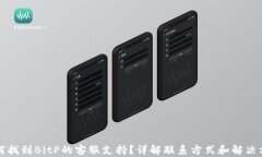 如何找到BitP的客服支持？详解联系方式和解决方