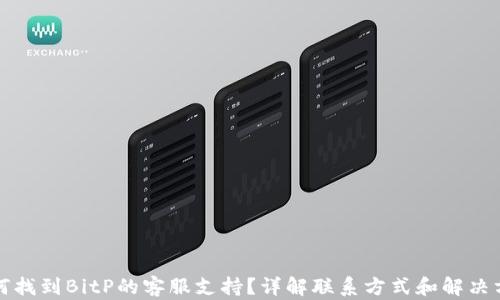 
如何找到BitP的客服支持？详解联系方式和解决方案