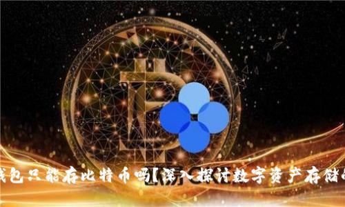 比特币钱包只能存比特币吗？深入探讨数字资产存储的多样性