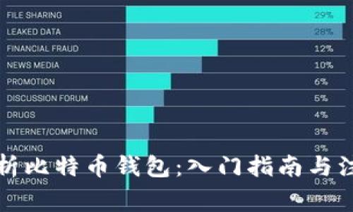 全面解析比特币钱包：入门指南与注意事项