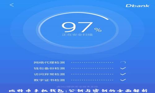 
比特币手机钱包：公钥与密钥的全面解析
