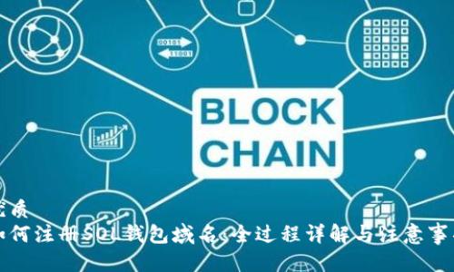 优质
如何注册SOL钱包域名：全过程详解与注意事项