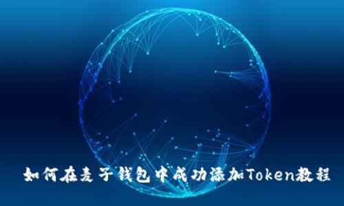  如何在麦子钱包中成功添加Token教程