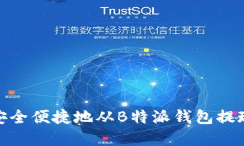 如何安全便捷地从B特派钱包提现资金
