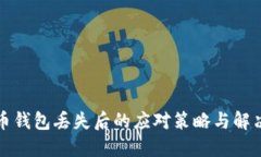 比特币钱包丢失后的应对策略与解决方案