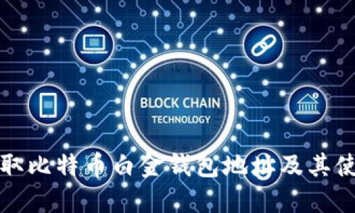 如何获取比特币白金钱包地址及其使用指南