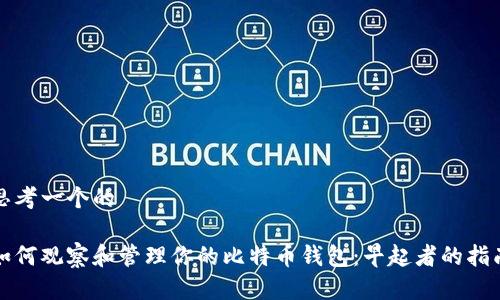 思考一个的

如何观察和管理你的比特币钱包：早起者的指南