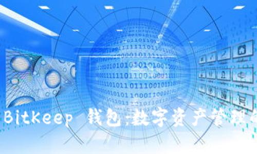 全面解析 BitKeep 钱包：数字资产管理的理想选择