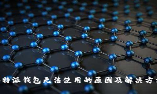 B特派钱包无法使用的原因及解决方法
