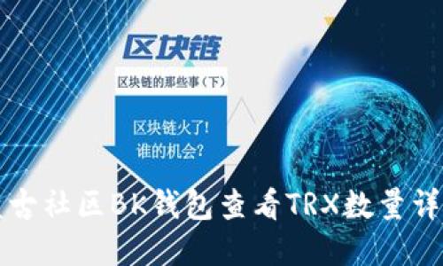 盘古社区BK钱包查看TRX数量详解