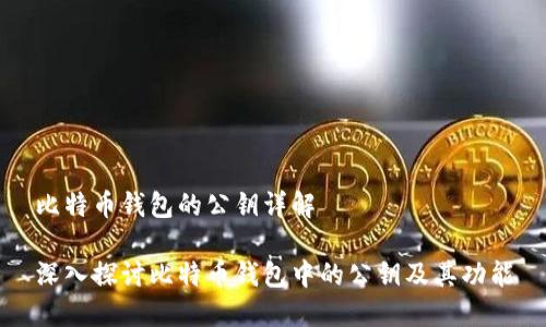 比特币钱包的公钥详解

深入探讨比特币钱包中的公钥及其功能