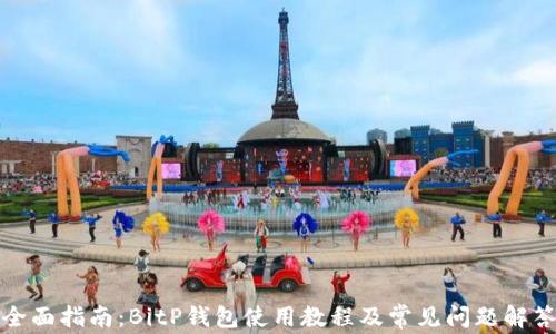 
全面指南：BitP钱包使用教程及常见问题解答
